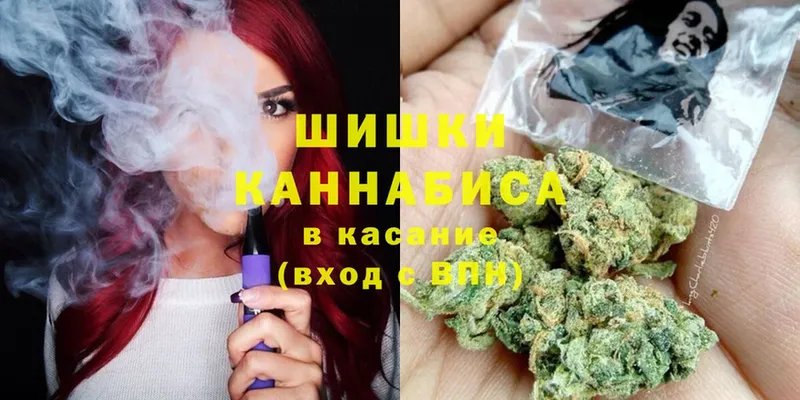 купить закладку  Бородино  Бошки Шишки индика 